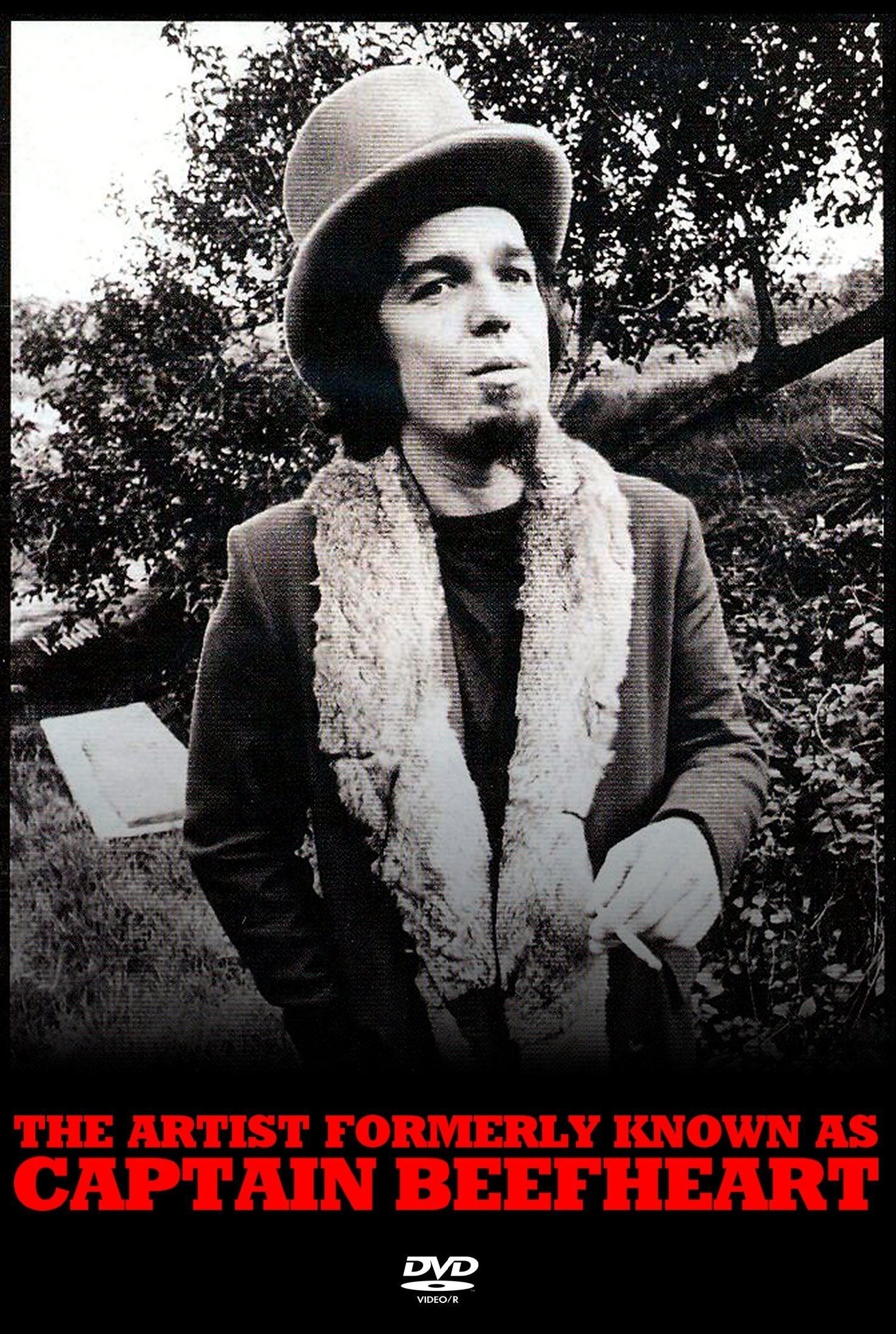 The Artist Formerly Known as Captain Beefheart