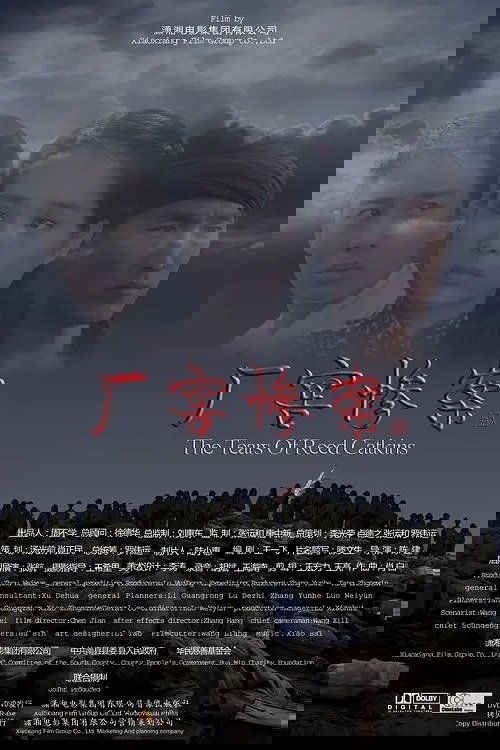 The Tears of Reed Catkins