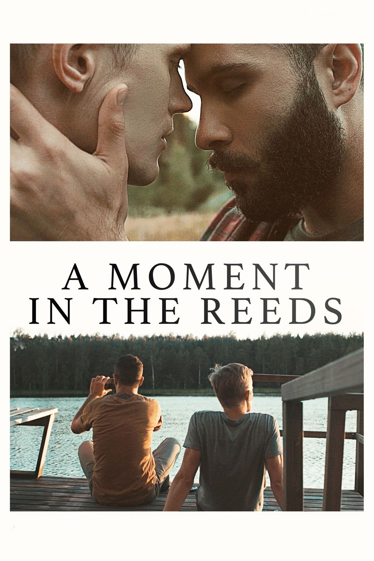 A Moment in the Reeds
