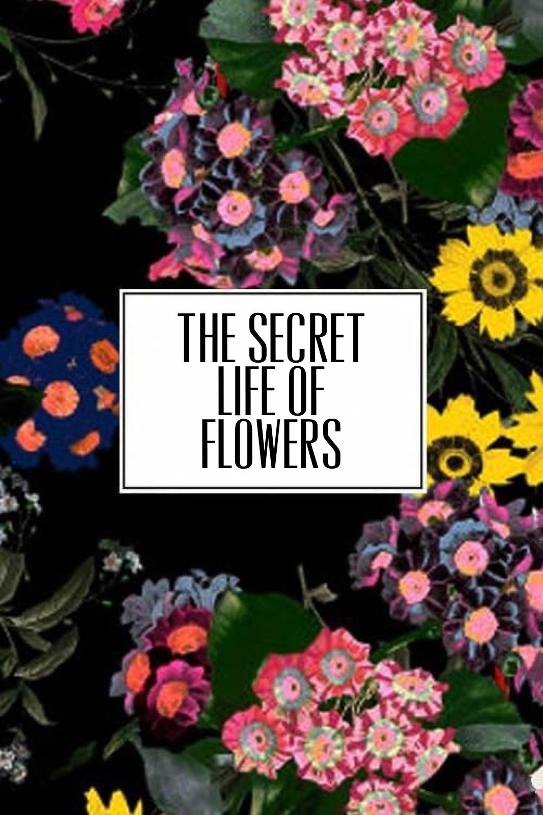 ERDEM x H&M: The Secret Life of Flowers