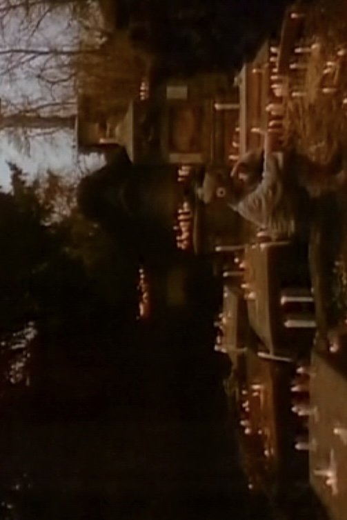 Hommage à Hölderlin