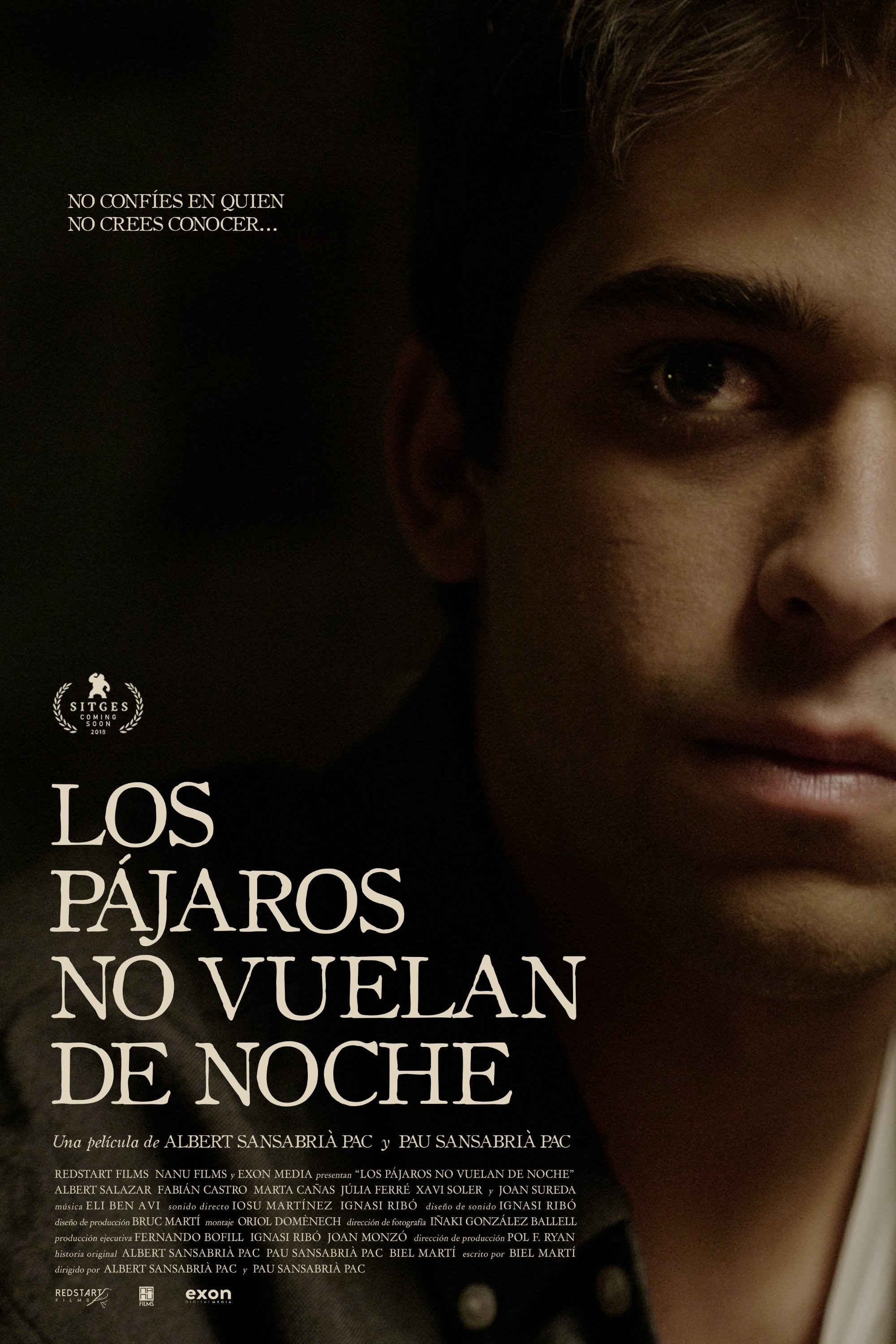 Los pájaros no vuelan de noche