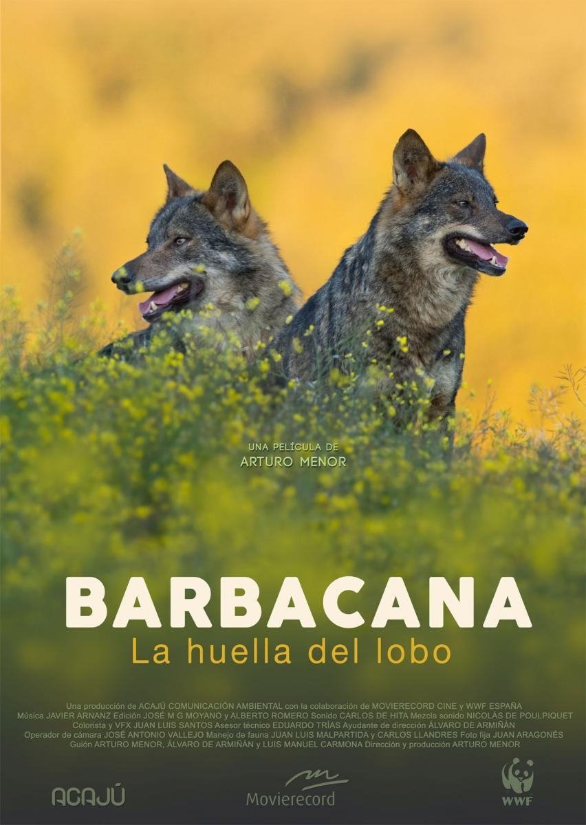 Barbacana, on the Trail of the Wolf