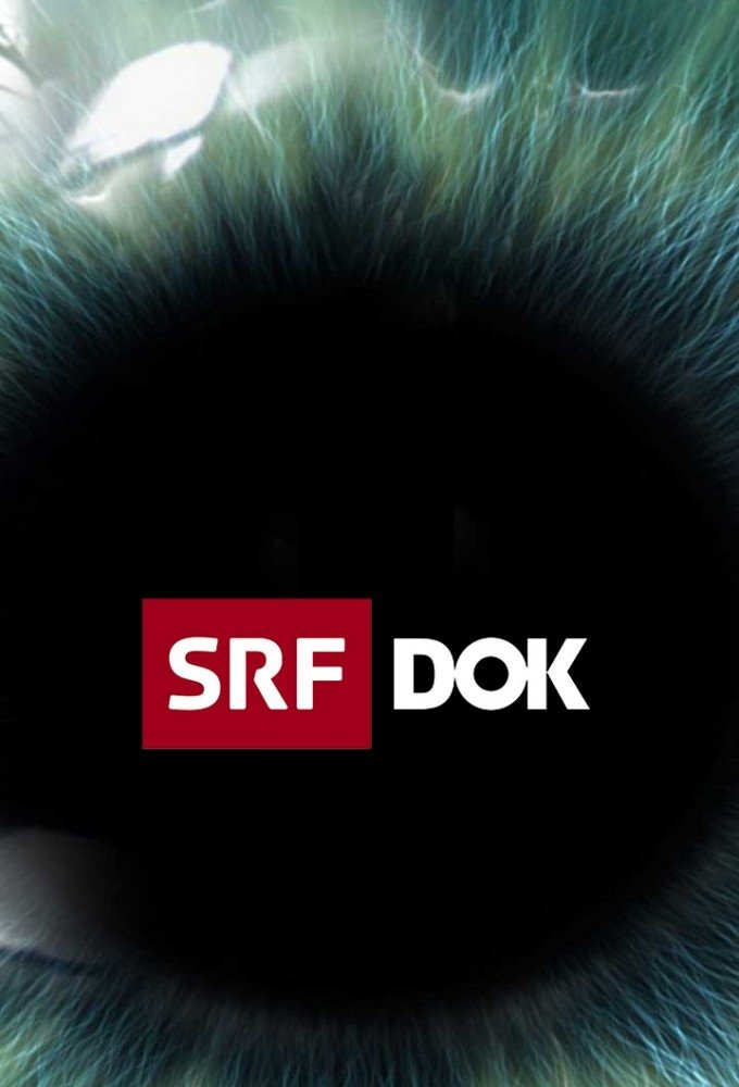 SRF DOK