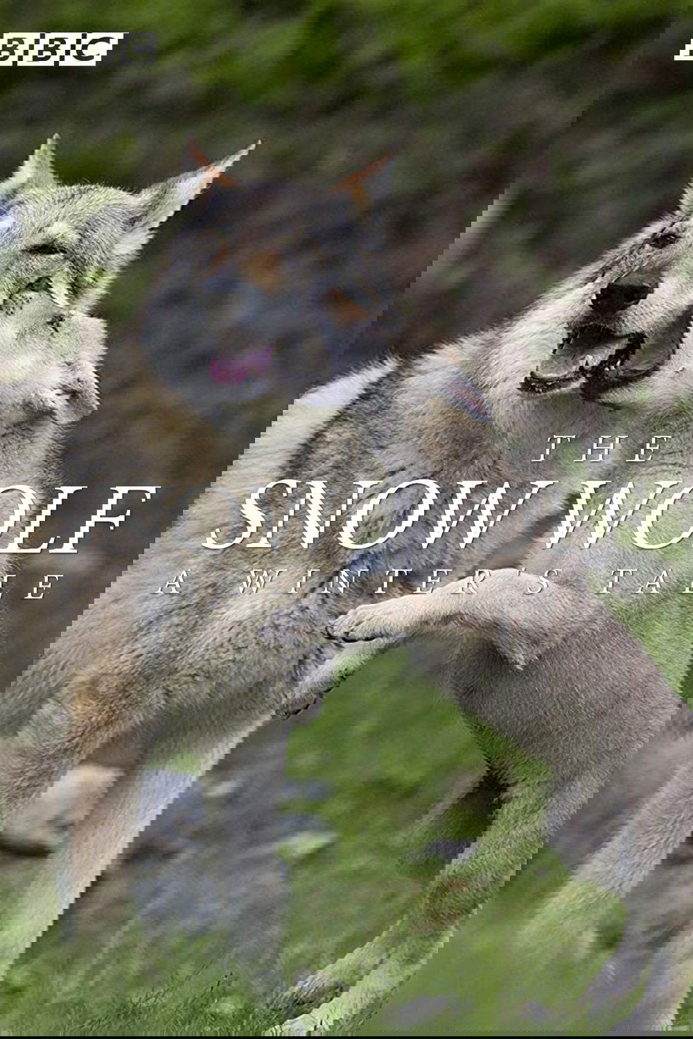 The Snow Wolf: A Winter's Tale